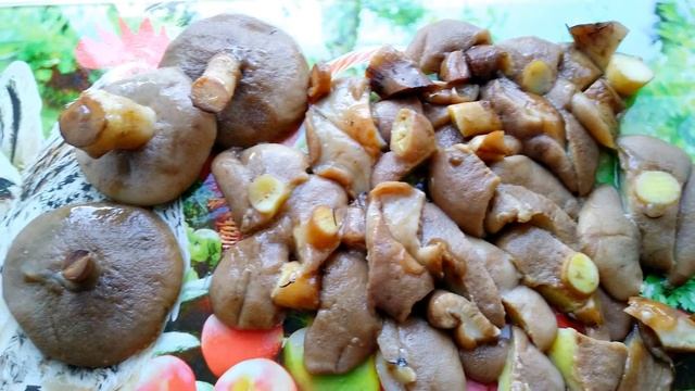 Маслята, жареные в сметане! Вкусное, нежное блюдо!