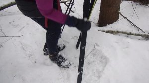 2023-01-31 Городище - Михнево с Осокиной и Сашиным