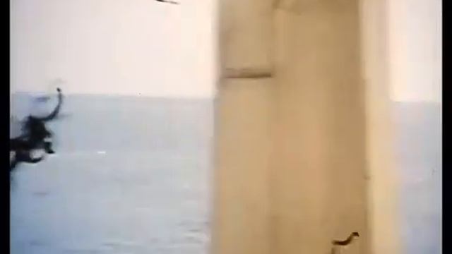 Корабль измерительного комплекса "Чумикан". Боевая работа по программе БОР. 1983 смотреть онлайн