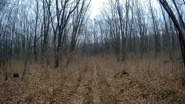 Лесной коп. Сваливаю от собак смотреть онлайн