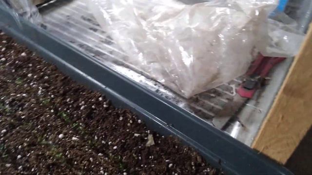 Обзор теплицы .Я за Мир смотреть онлайн