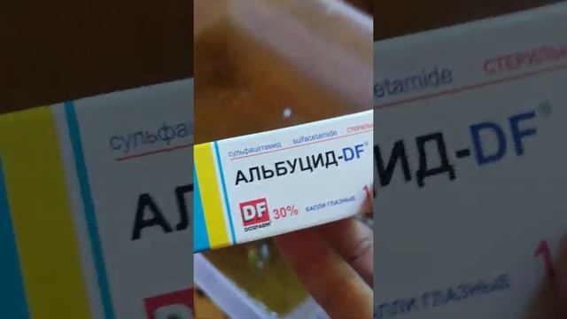 Красноухая черепаха