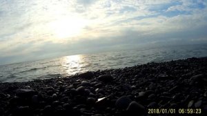 Ловля саргана 2020, Сукко