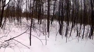 Охота на зайца с РПГ.