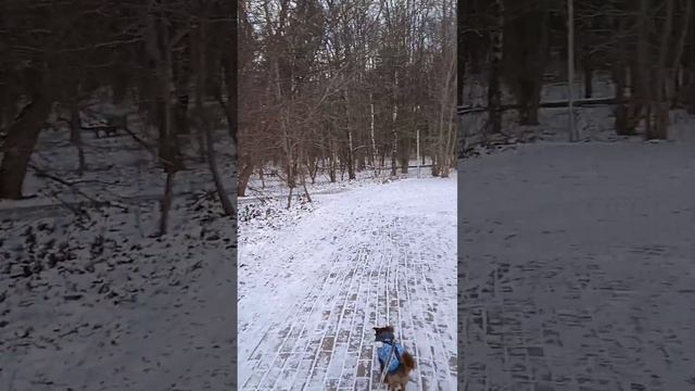 снегом белым белоснежным все вокруг заметено смотреть онлайн