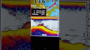 Эхолот Lowrance Elit 4 Картплоттер