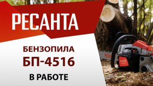 Компактная и мощная бензопила РЕСАНТА БП-4516 в работе