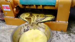 Шнековый маслопрес для отжима рапсового масла