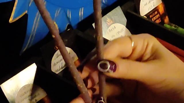 Программные свечи. Сила Мастера. Часть 1