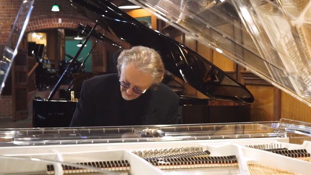 Michael Allen Harrison Performing "The Awakening" on Schimmel Art Case K213 Plexiglass Grand Piano смотреть онлайн