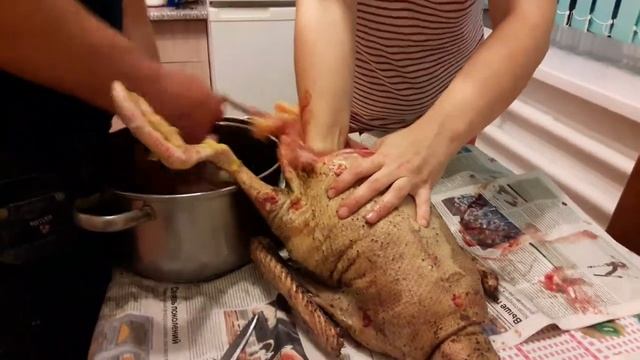 РАЗДЕЛКА ГУСЯ!)) смотреть онлайн