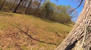 POV Eastern Wild Turkey Hunt - Plinkster Outdoors