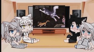 коты-воители реакция гача