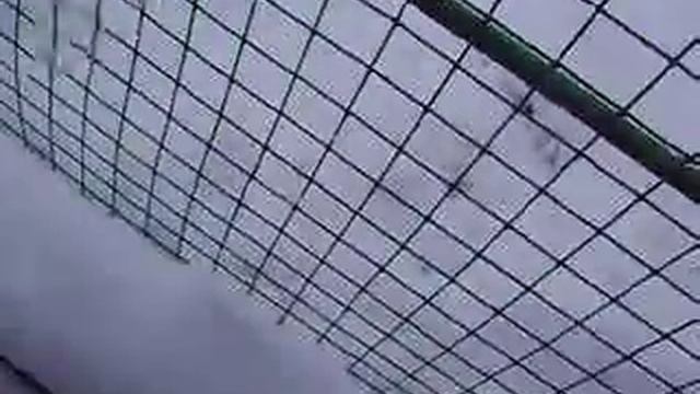 MOV07607 05.04.2014 Ижевск зоопарк смотреть онлайн