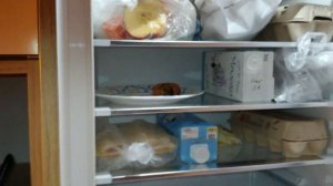 Hostel 2028, Kaliningrad