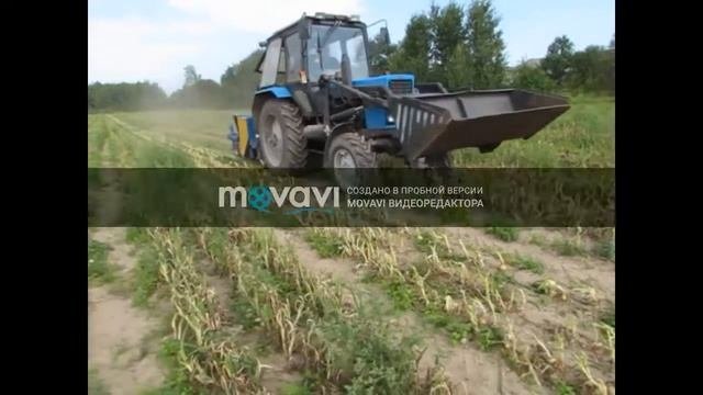 Машина для уборки ботвы корнеплодов БТУ-1,4 производства ЗАО 