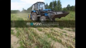 Машина для уборки ботвы корнеплодов БТУ-1,4 производства ЗАО "Агропромсельмаш"