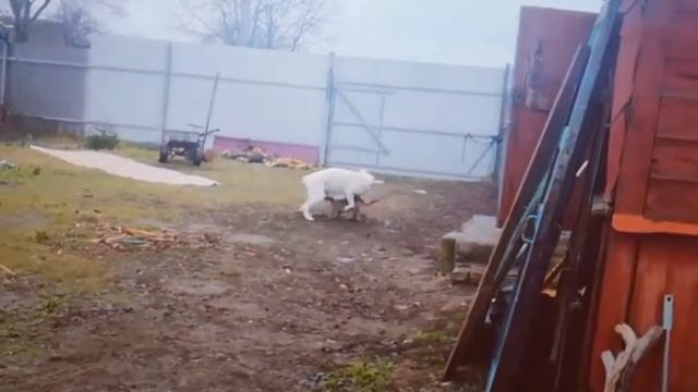 Новогодний вальс!!!