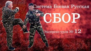 Экспресс-урок № 12 в Системе СБОР «Защита от противника, вооруженного ножом. Вариант 3»