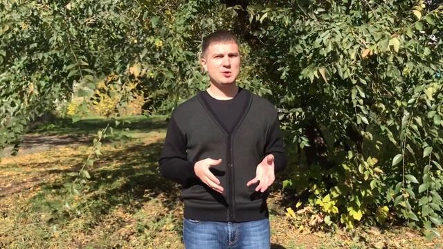 Представительство в арбитражном процессе. Доказывание и доказательства в арбитражном процессе смотреть онлайн