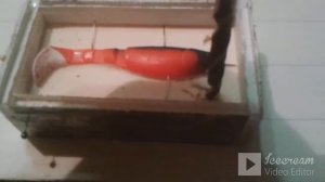 Для рыбалки своими руками: Форма из гипса для силиконовой рыбки