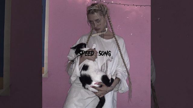Пошлая Молли - Контракт (speed song) #speedsong #fyp #пошлаямолли