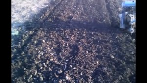 Мотоблок Нева. Правильная культивация. Motoblock Neva. Correct cultivation.