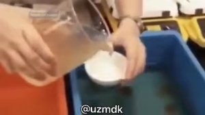 Поддельные куриные яйца: как и зачем эта делают