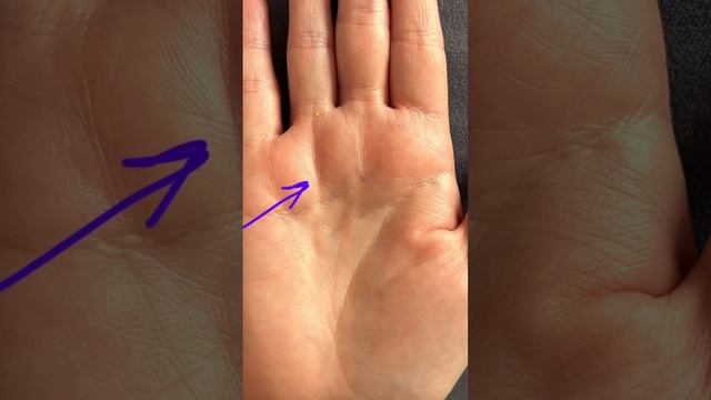 Будешь ли ты счастливым!_ #хиромантия #гаданиепоруке #гадание -(720p) смотреть онлайн