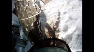 Спилить берёзу с сильным наклоном на дом. Валка дерева с оттяжкой Екатеринбург Свердловская область