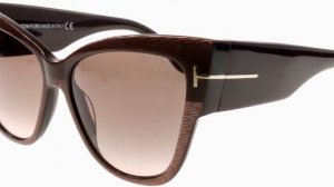 Tom Ford Women's Anoushka Sunglasses in Shiny Black FT0371 01B 57 CR7