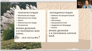 Как успешно размножить злаки - правильно выбираем травы для деления