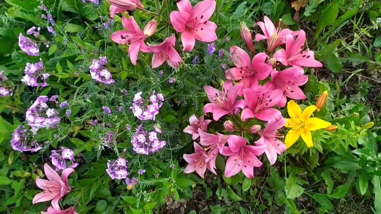 Вечер после работыПокос травыДЕРЕВЕНСКАЯ жизнь после города смотреть онлайн