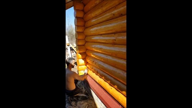 Чем пропитать рубленый сруб. Покраска сруба маслом