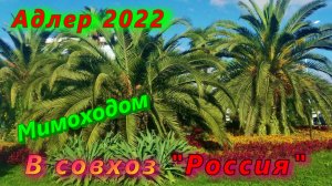 Адлер 2022 Мимоходом до совхоза Россия
