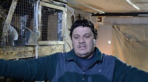 Кролики в гараже