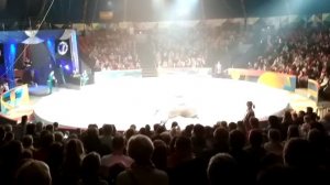 Цирк Автово в Санкт-Петербурге. Великолепное представление до пандемии, как это было.