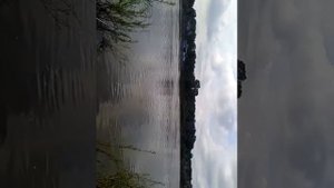 РЫБАЛКА В БЛАГОВЕЩЕНСКЕ РБ