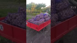 Мотоблок Беларус 08 Н с заводским прицепом ПМ 00.000.