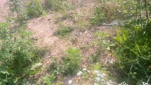 Состояние георешётки. Опора 630 смотреть онлайн