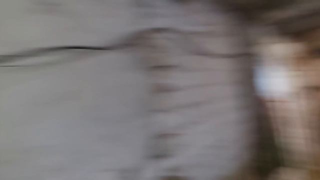 У Володьки отличное настроение)))) смотреть онлайн