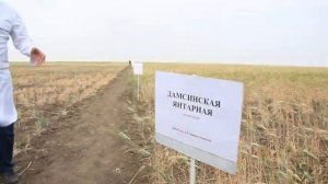 Семинар на тему «Агротехнические приемы повышения продуктивности растениеводства»