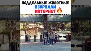 Дорама тайный зоопарк , смешные моменты из дорамы