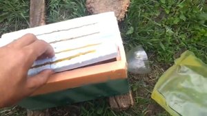 Нуклеус с апимилом через 12 часов.