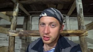 КАКОЙ ДОХОД ОТ ОДНОЙ КОРОВЫ ЗА ГОД? Коровы это выгодно!