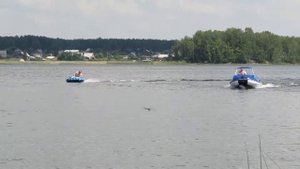 Лодка gladiator D420 AL + ямаха40-1