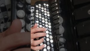 Итальянская полька. разбор на баяне. Как научиться играть на баяне