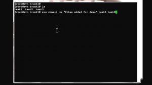 SVN client configuration on linux