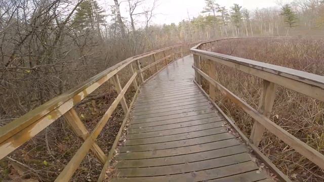 Chill POV Bird Photography / Sony A6000 / Sony 70-350mm смотреть онлайн
