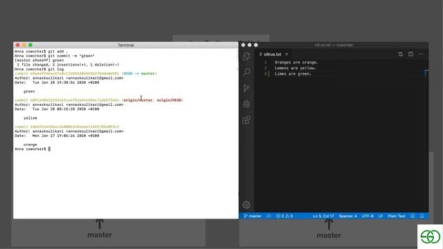 Git Tutorial | 22 Working with Others смотреть онлайн